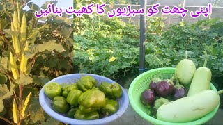 Convert Rooftop into Vegetables Garden /Grow Vegetables at home