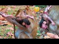 Newborn baby is very broken hearted while  need milk  real monkey 2024