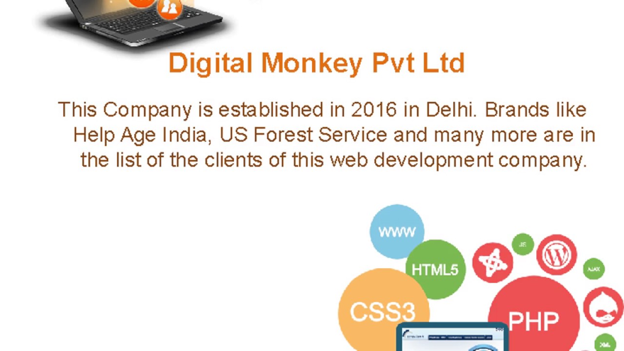 Web Development Company in Delhi