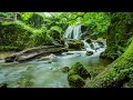 Beautiful piano music 365 day  relaxing music for sleep studying  relaxation