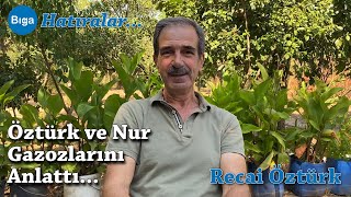 Biganın Gazozları Öztürk Ve Nur