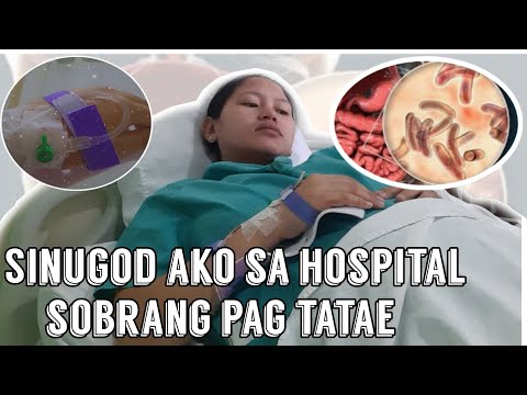 Video: Ano ang mga bahagi ng amoeba?