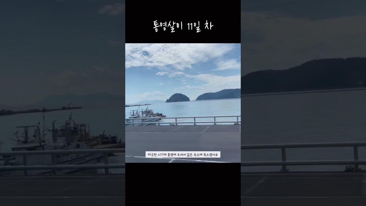 [통영살이 11일차] 바다 보면서 버스 타고 통영767 카페 가는 길 #통영 #통영여행