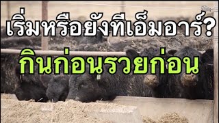 EP45 - Understanding the Basics of TMR Feed, the Food that Will Be the Heart of the Beef and Dair...