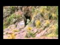 Cusco - la centro de Inkaa imperio