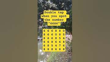 Observation Visual Test: 5 Seconds For You To Spot:6686. Try Your Skills!  #search #puzzle #shorts