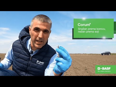 Video: Rok trajanja pesticida i herbicida: je li sigurno koristiti proizvode za vrtlarstvo kojima je istekao rok trajanja