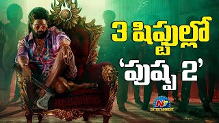 Pushpa 2 Shooting updates | Allu Arjun, Sukumar, Rashmika Mandanna || @NTVENT