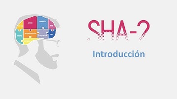 01/18 - Introducción SHA256 Explicado paso a paso (incluye SHA-224, SHA-384, SHA-512)