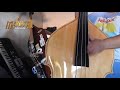 Pacas Verdes (Slappin Da Bass Cover ) - Manny Tololoche