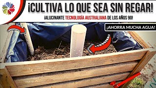 💧 MACETÓN que SE RIEGA SOLO - ¿¡POR QUÉ NO LO CONOCÍ ANTES!? 🤦‍♂️ - AHORRA más de un 50% de AGUA