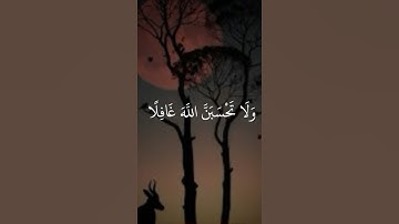 #quran #اكسبلور #تلاوة_هادئة #دويتو #قران_قبل_النوم #لايك #قران_كريم_بصوت_جميل_جدا #تيك_توك #funny #