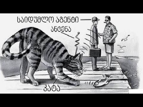 5 ყველაზე შემზარავი გასაიდუმლოებული პროექტი