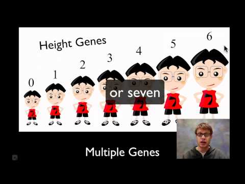 Chromosomal Genetics - Safeshare.TV