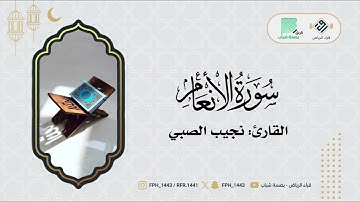 ماتيسر من سورة الأنعام | القارئ: نجيب الصبي