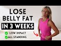 Lose Stubborn Belly Fat In 3 Weeks | Low Impact Home Workout