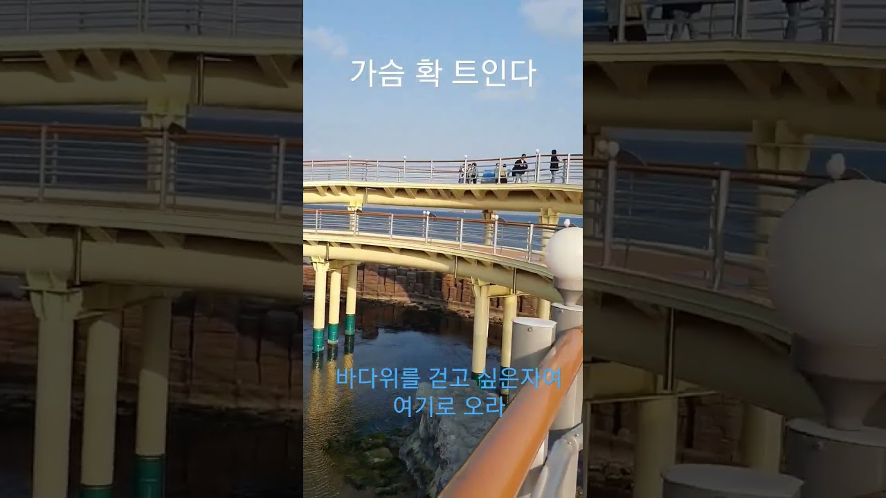 포항해상스카이워크 #포항여행 #shorts #포항가볼만한곳 #포항영일대해수욕장 #스패이스워크