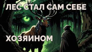 Самый странный крипто-проект: лес на блокчейне