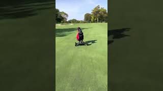 Famous Alphard V2 motorized electric push cart Net Worth