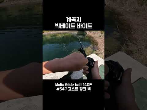 물맑은 계곡지 배스! 빅베이트 한방!