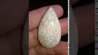 حجر كريم مرجان ابيض طبيعي 6 Natural White Coral Gemstone