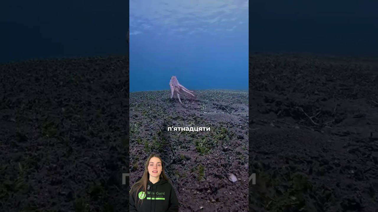 Природа неймовірна, правда ж? ☺️