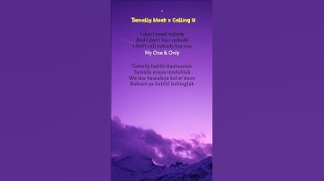Thumbnail of Calling U : Tamally Maak (lyrics) Elyanna  #callinu #tamallymaak #song #lyrics