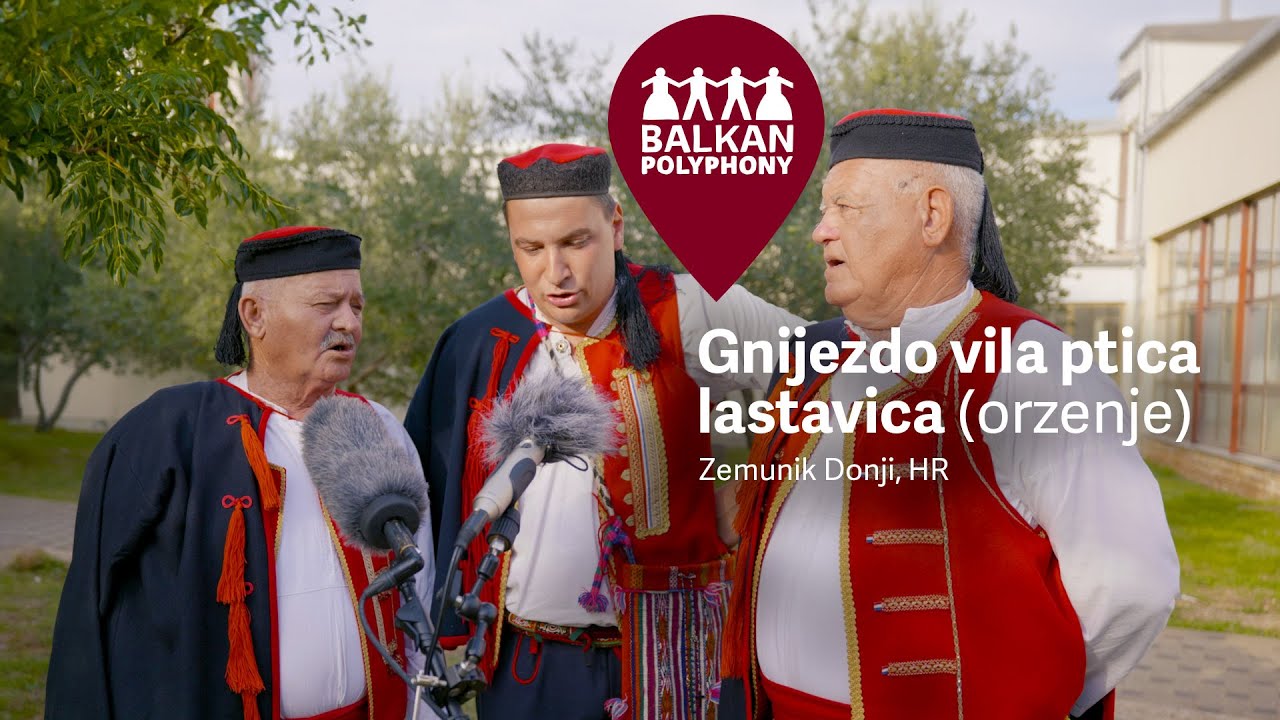 Gnijezdo vila ptica lastavica (orzenje) – Zemunik Donji, HR