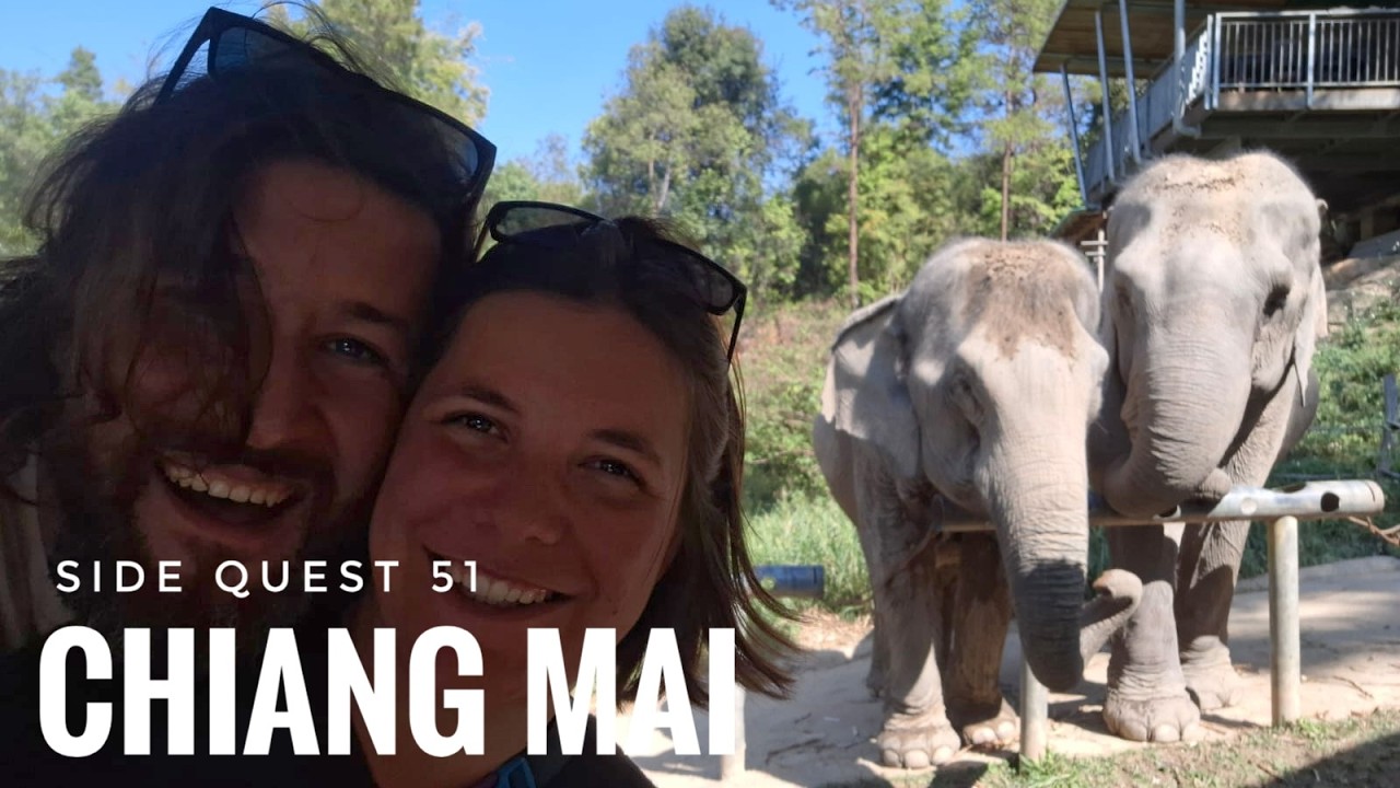 We observed elephants at a sanctuary in Chiang Mai
