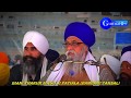 100 kisda dimag kam kardapatiala walegurmat tv18feb