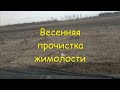 Весенняя прочистка жимолости