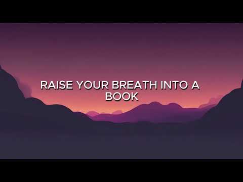 Sia Burn The Pages Lyrics 