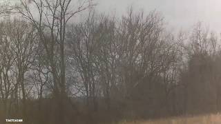 Orapax Quail Hunt