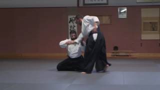 Hanmi hantashi waza et ushiro kubi shime ● Kobayashi Ryu Aikido