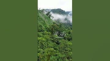 سورة الأحزاب الآية 21 بصوت الشيخ سعد الغامدي