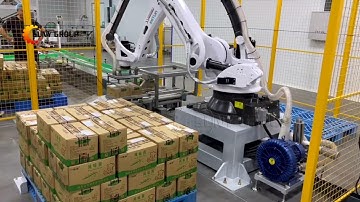 Fully Automatic Robot Palletizing System--Suny Packing