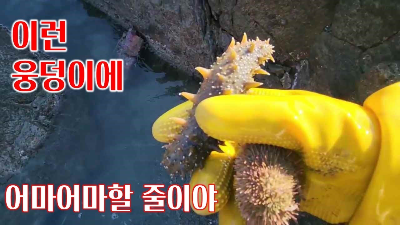 이런 웅덩이에 어마어마할 줄이야