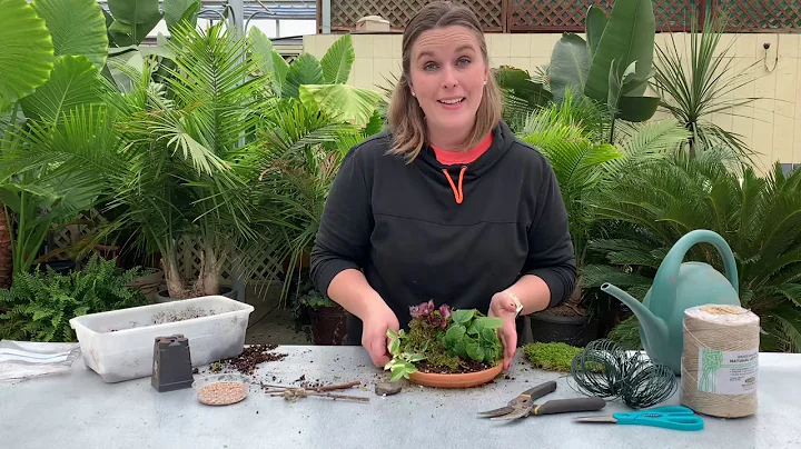 Resurrection Garden - How To