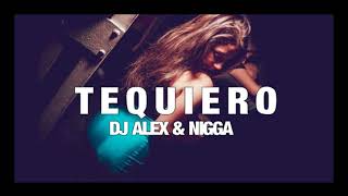 Video thumbnail of "TE QUIERO - NIGGA ✘ DJ ALEX [FIESTERO REMIX]"