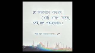 আল্লাহ মহান❤️?love happiness islamic islamicstatus foryou