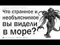 Что странное и необъяснимое вы видели в море?