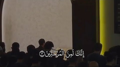 نيوار الكردي  سورة يس - بصوت هادئ 🎧🤎 { لِتُنذِرَ قَوْمًا مَّا أُنذِرَ آبَاؤُهُمْ فَهُمْ غَافِلُونَ }