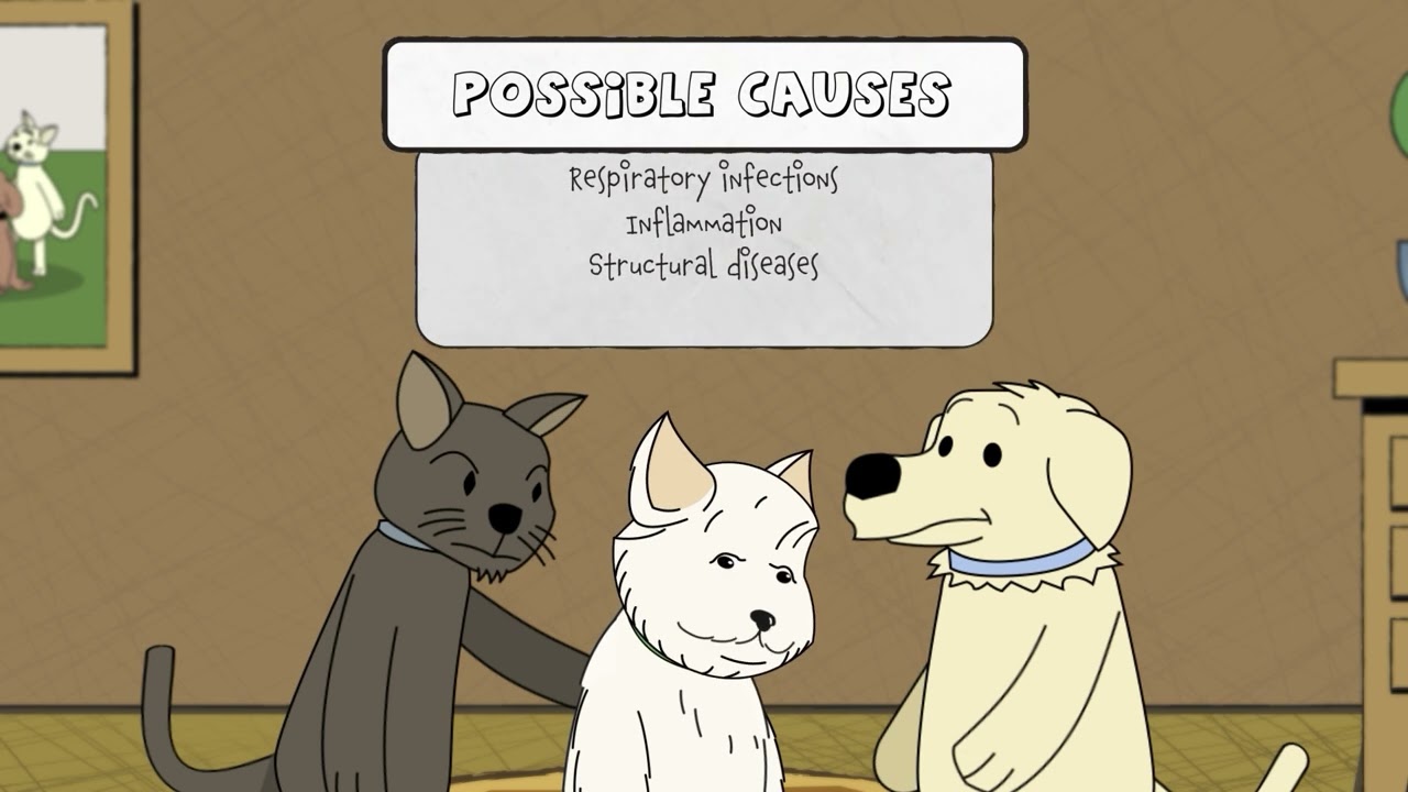 Video poster