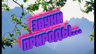 Звуки природы ...   Автор музыки Эдгар Туниянц