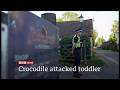 Man arrested after boy injured in zoo crocodile enclosure was attacked (2) (UK) 19/Jun/2026