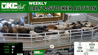 5/28/2024 - OKC West Calf and Stocker Auction