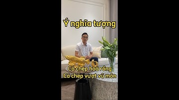 Bao giờ Cá chép hóa RỒNG?🐉