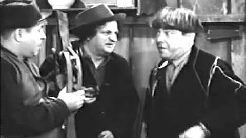 Curly Larry Moe In Joy!