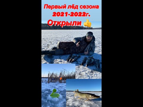 Первый лед! Щука