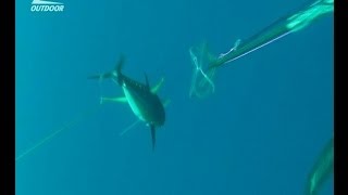 :     Spearfishing tuna